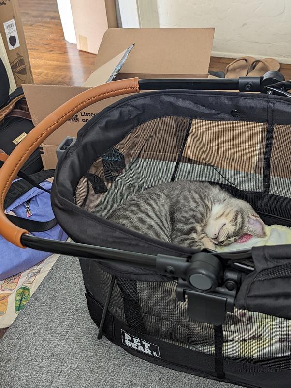 Passed out