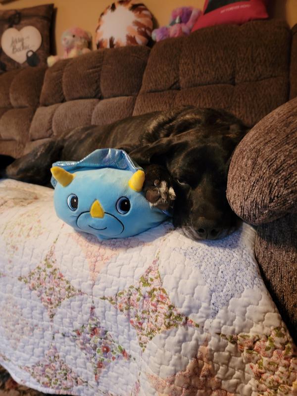 Sleeping with my buddy Daisy