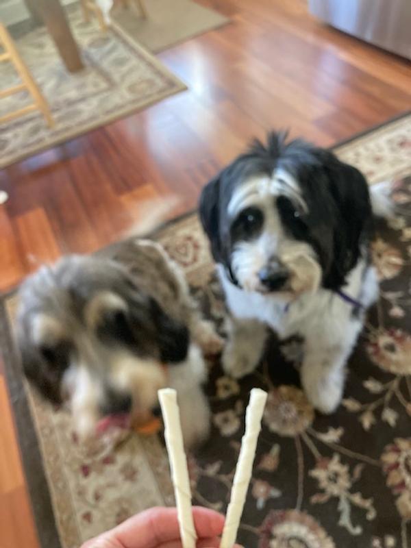 Chews are too small for my 30# Dogs