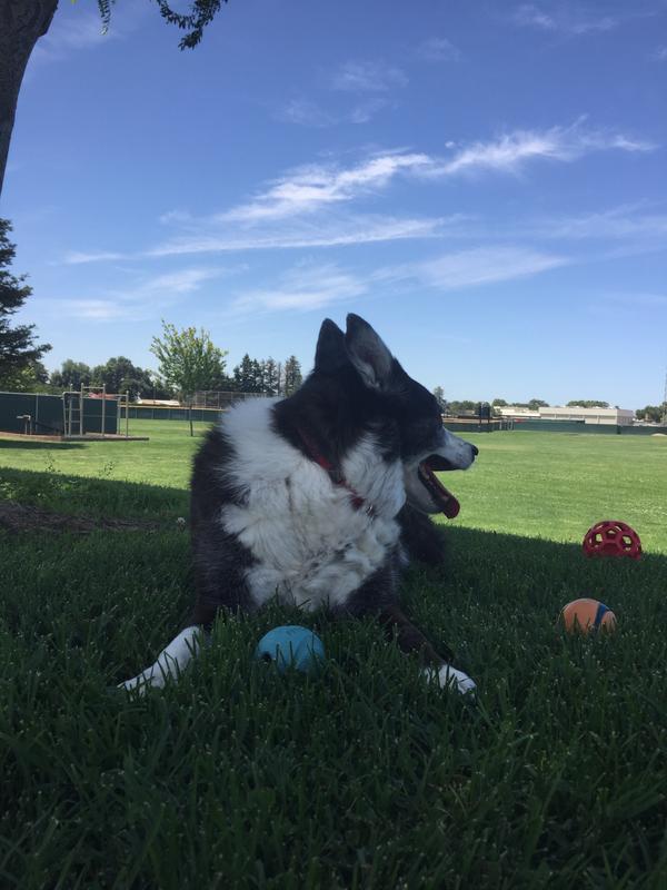 Bonnie at 16, loving life!