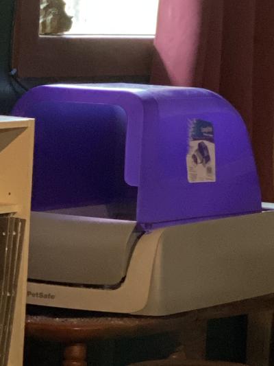 The lid sitting on the tray