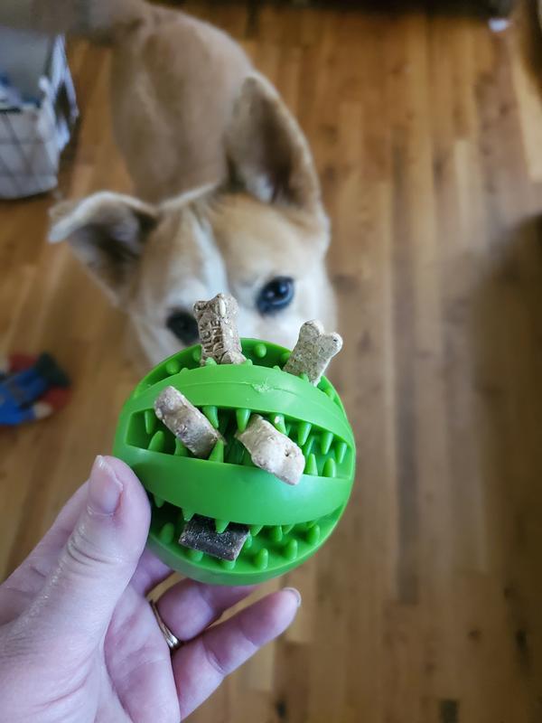 SunGrow Interactive Chew Ball Treat Dispenser Dog & Cat Teething Toy