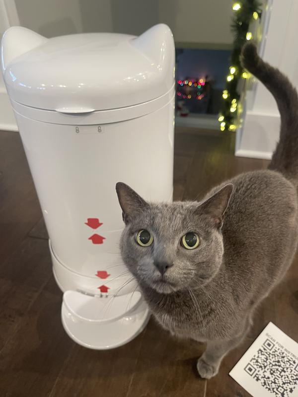 Easy assembly, good size!