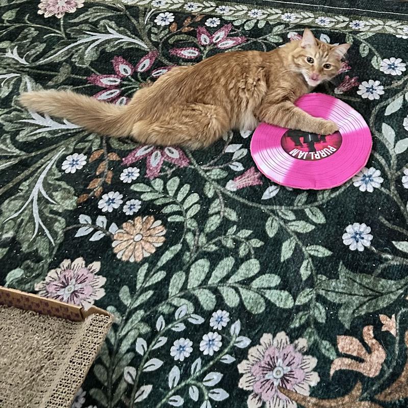 CROCHET KITTY Purrl Jam Record Cat Mat with Crinkle & Catnip