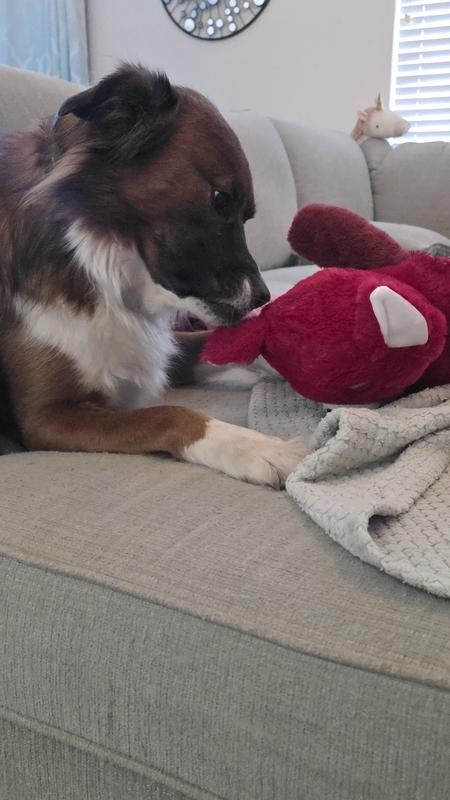 Instant besties. No introduction needed.