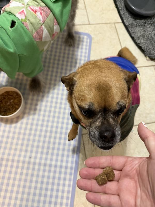 The younger pup loves these too