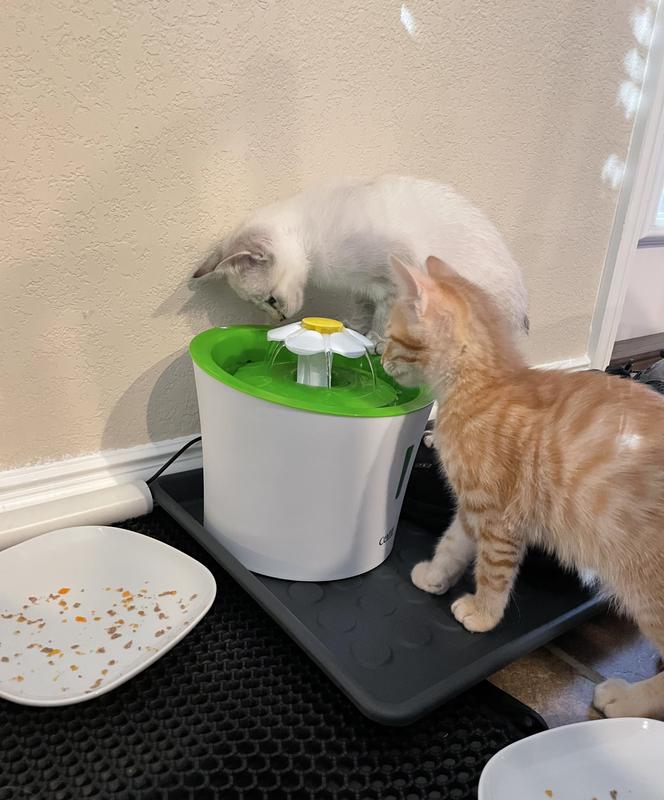 They each have their own way of drinking from the fountain.