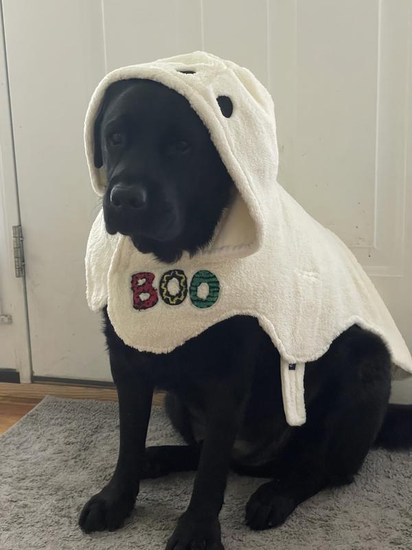 Xxl too small for some labs :(