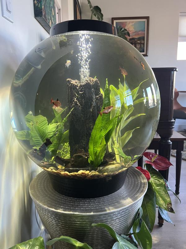 There’s a heater toward the top and is pretty well hidden due to the orb shape.