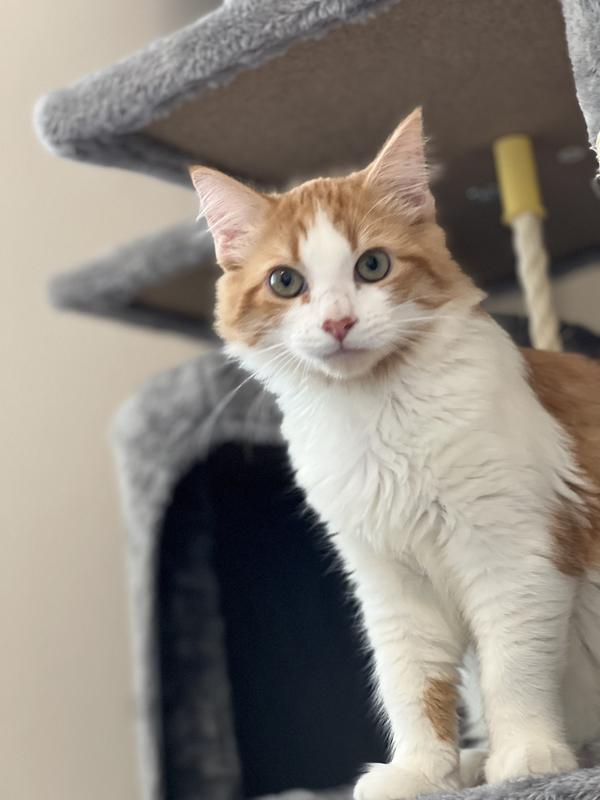 He might be cute but his poop will stink you out of the house!😂