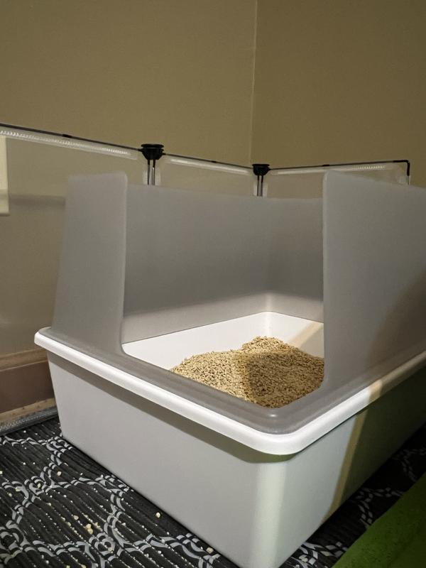 TUFT & PAW Cubby Non-Stick Cat Litter Box - Chewy.com