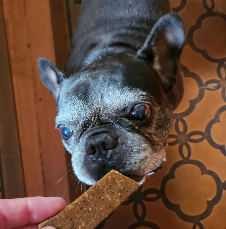 10yo frenchie Sugar doesn't usually get treats because of pancreatitis, but these are ok. All other pets steer clear when she thinks she might get a piece!