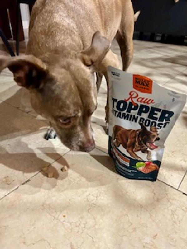 Eko side eyeing her favorite bag of treats