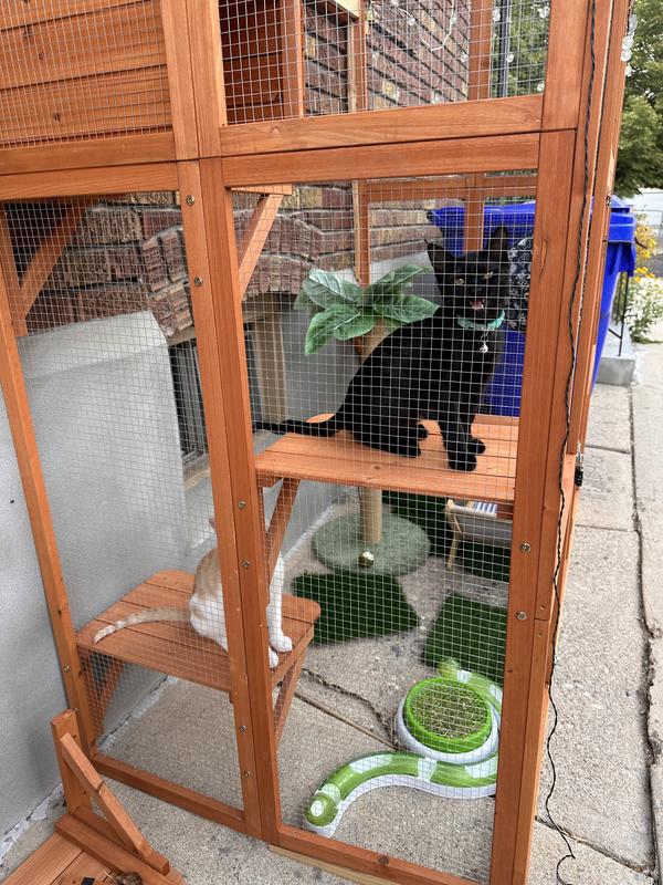 Lots of places for them to hang out