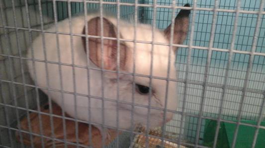 Flower..26 years old