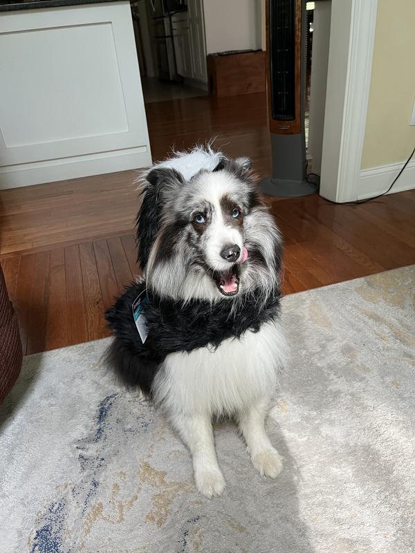 Frisco Faux Fur Skunk Dog & Cat Costume