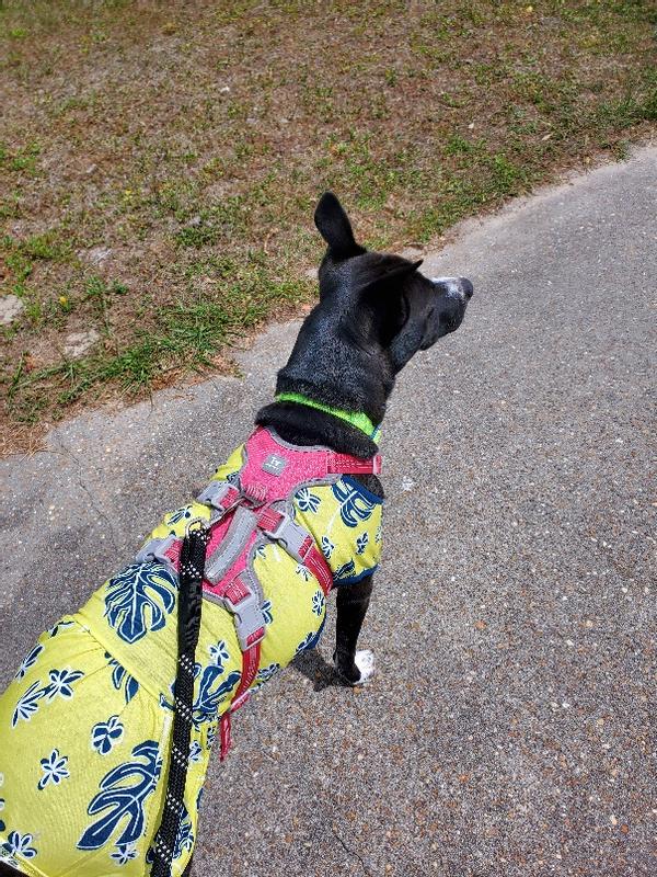 Looking for adventure!