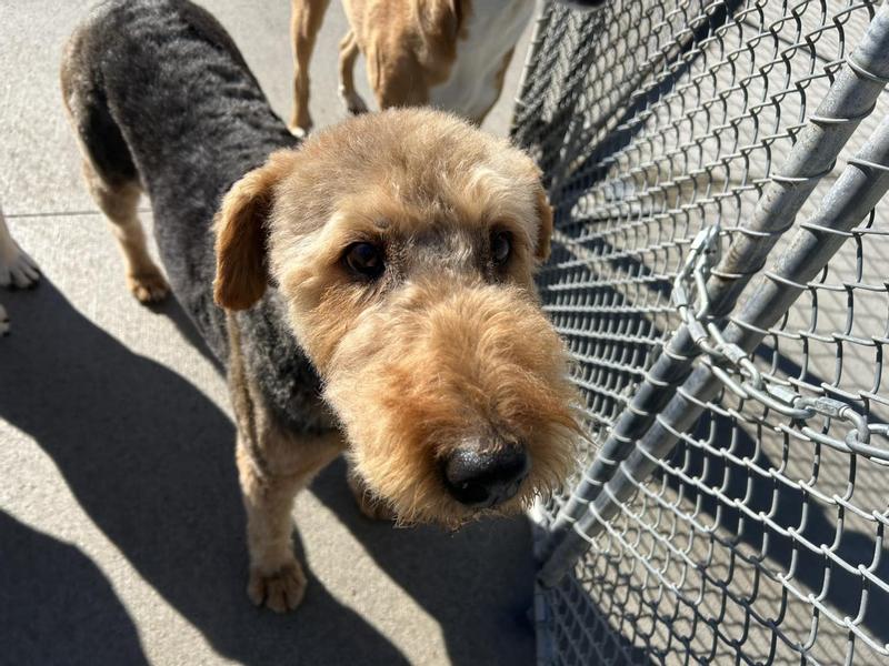 My healthy look thanks to the Purina I eat!