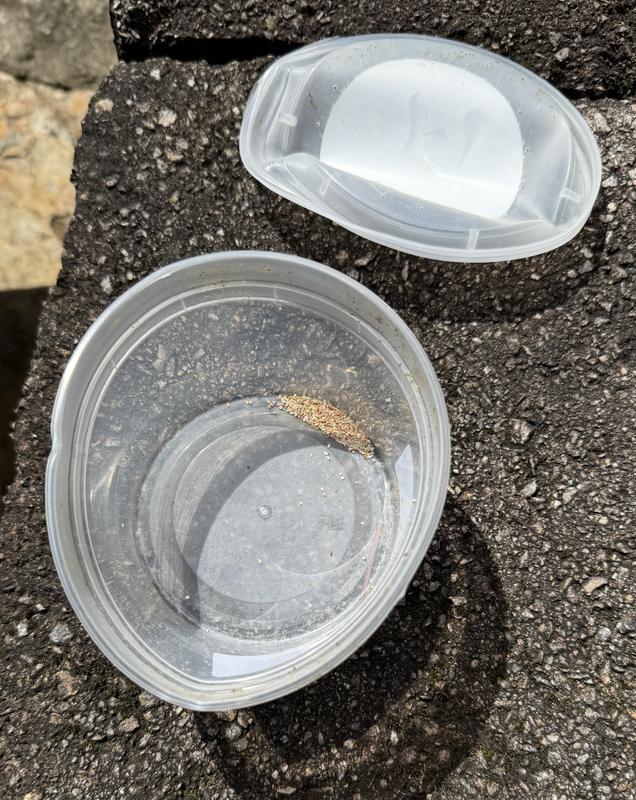 Empty because container is crushed and contents were inside the box being tossed around.