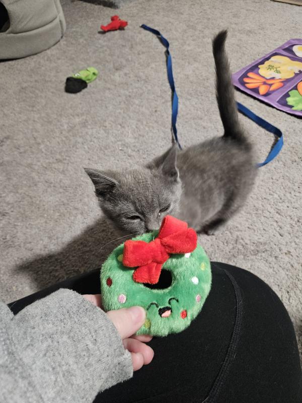 He loves the smell of it! If only it had a little sound!