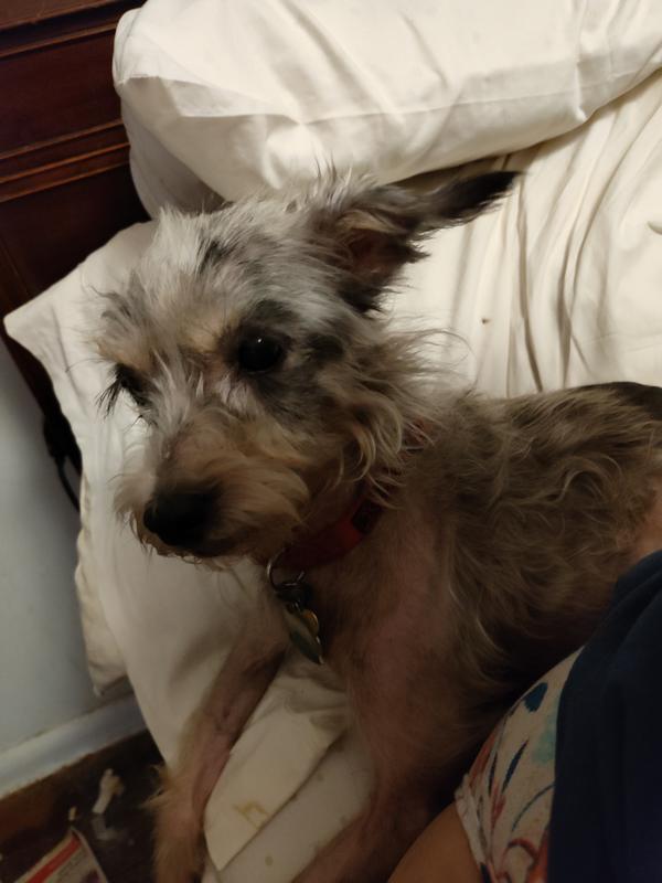 Gotta keep this little old girl healthy!