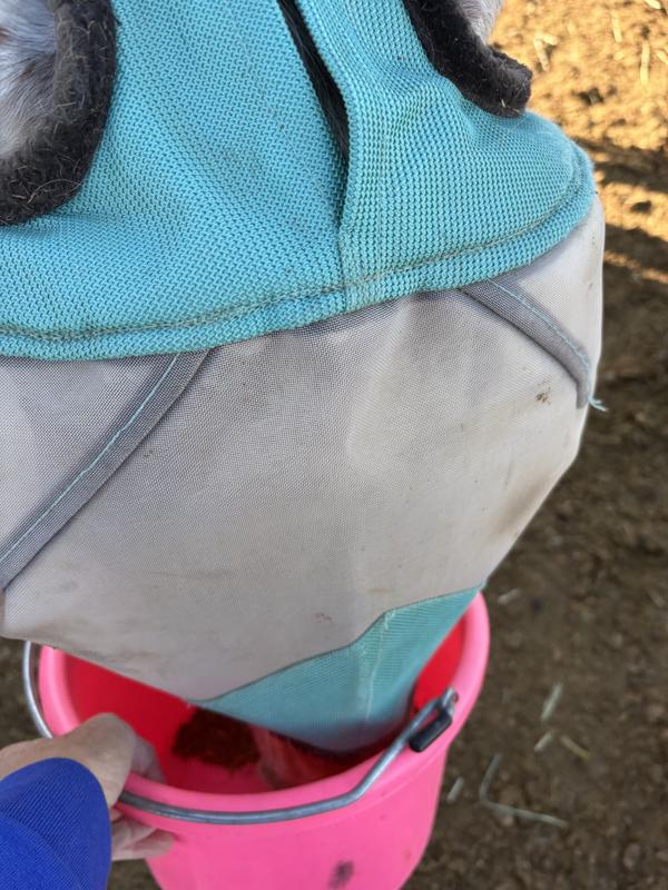 As you can see the food topper is fine and not chucks. I think it’s his helps when trying to disguise a supplement. You can also see that my horses had no issues eating their grain with the food topper added.