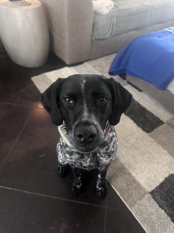 Of course I love my new house