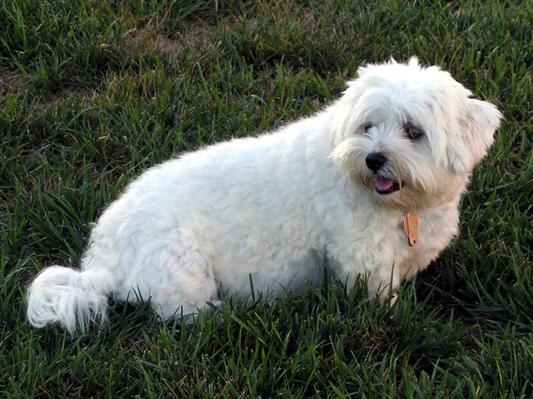 The bestest little baby IN THE ENTIRE PLANET!!!