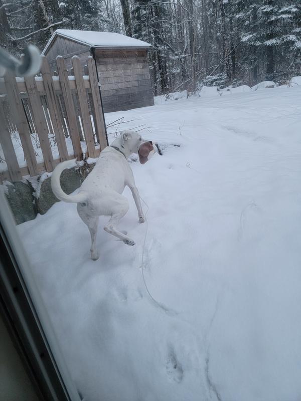 Baby had to go potty too, lol