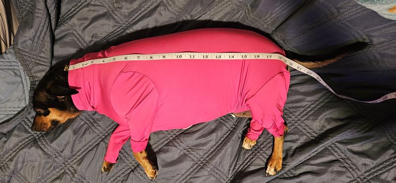 Size small. Body length approx.