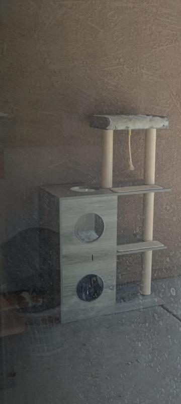 Cat relaxing in the shade of the structure