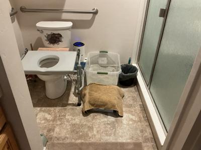 Cleaner litter is better litter for my girls