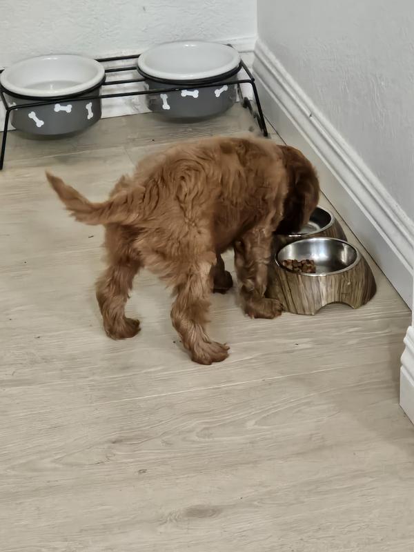 Cali loves her new bowls