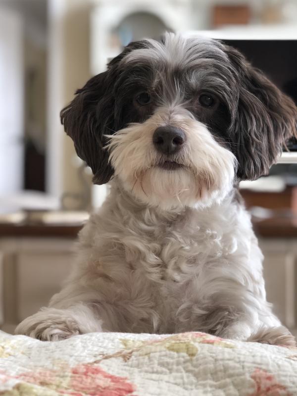 I’m ready for my treat!