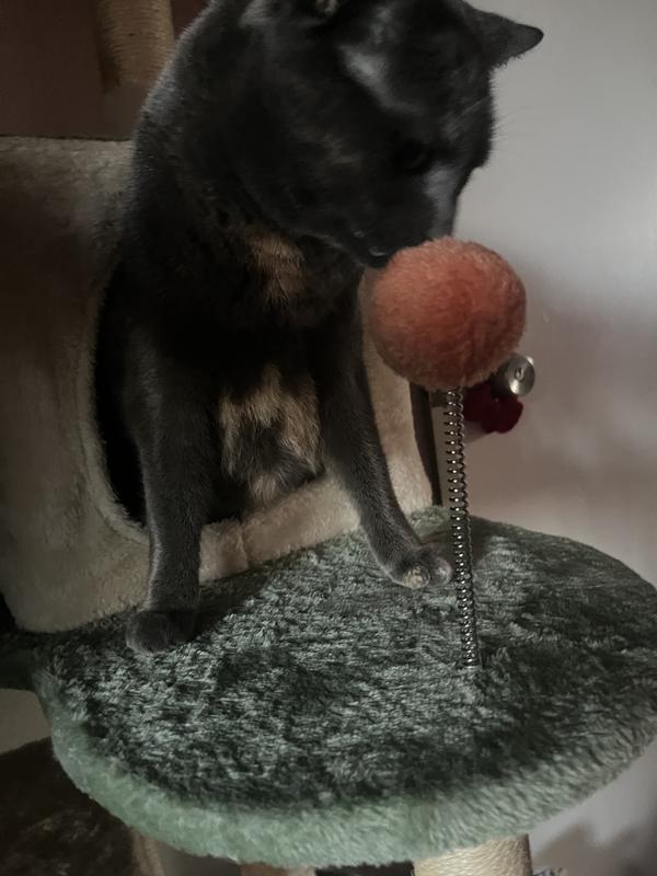 Sister playing with pom pom