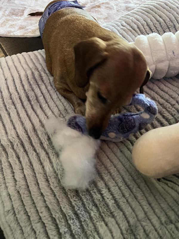 Fluff-er-atomy & squeaker-ectomy in progress