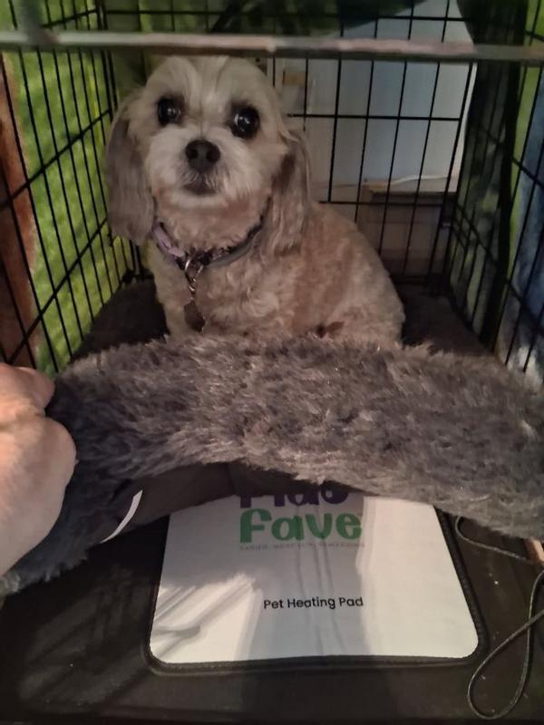 Using her heating pad from Chewy