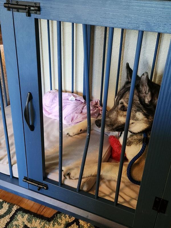 FRISCO "Broadway" Dog Crate Credenza & Mat Kit, Antique White, 65 x 28.