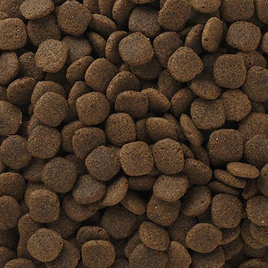 What is the kibble size of the Large Breed (chick/rice) variety, please