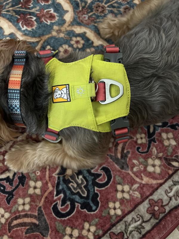 RUFFWEAR Hi & Light Reflective Front-Clip Dog Harness, Lichen
