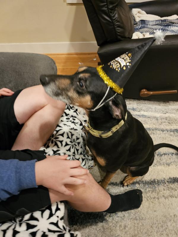 Good side strings to keep the hat in place