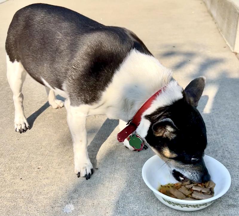 Yummy, I loved it, Thanks!