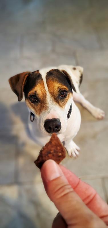 Cativating bites of yummy beef goodness