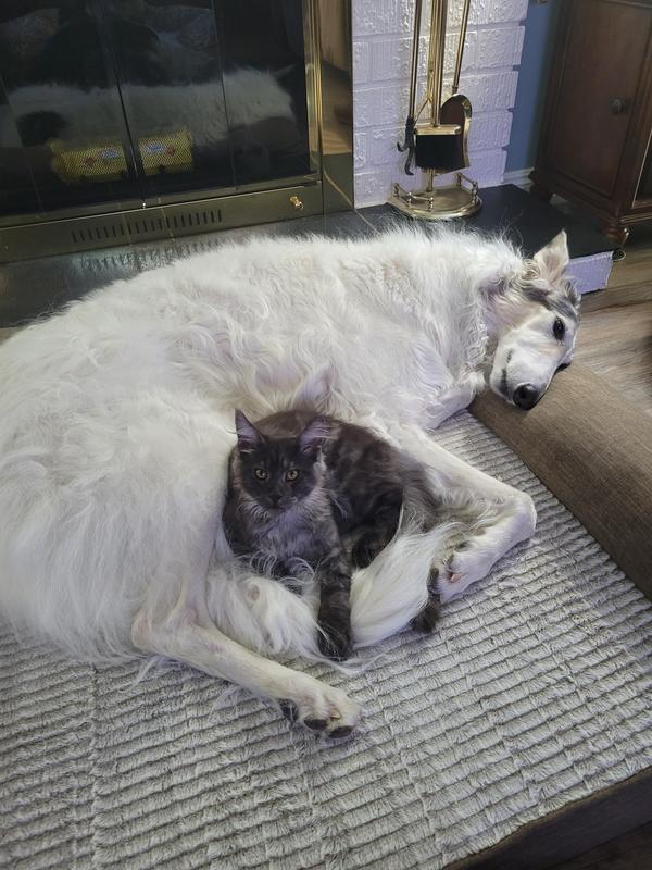 Oden loves his big brother Murdock