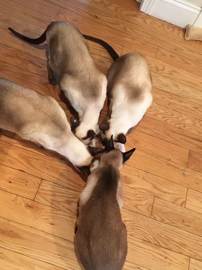 Family Dining