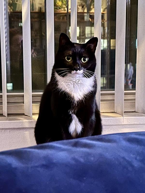 She enjoyed her dinner