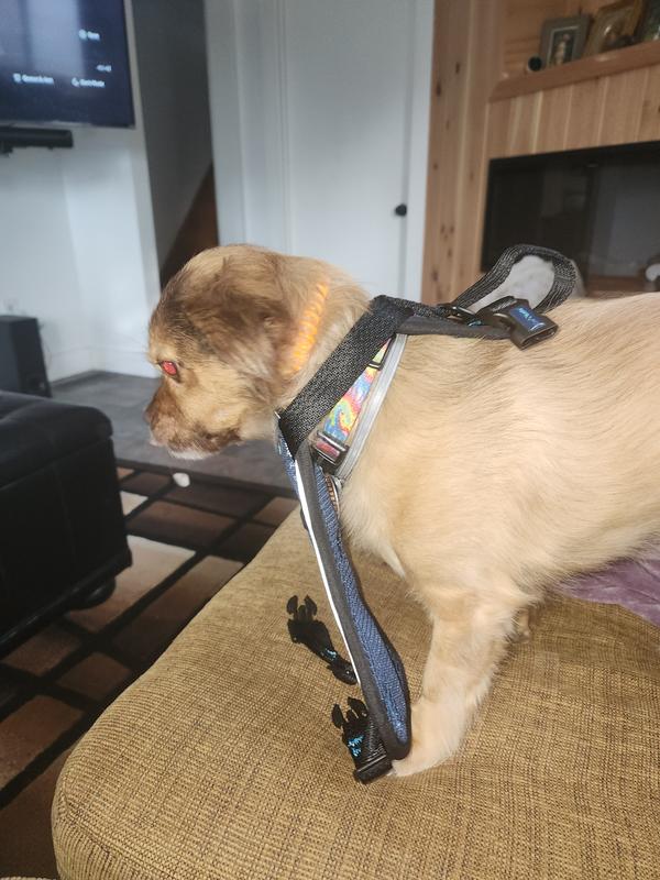 Car Seat Carsafe Crash Tested Dog Harness Adjustable, Mesh