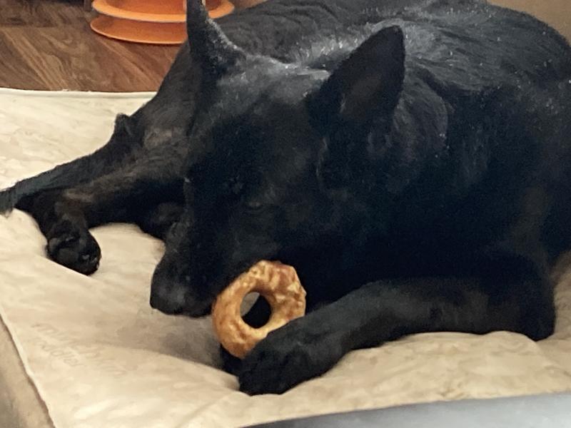 Discontinued - RUSTIC KITCHEN Collagen Bagel Chicken Flavored Dog Treat ...