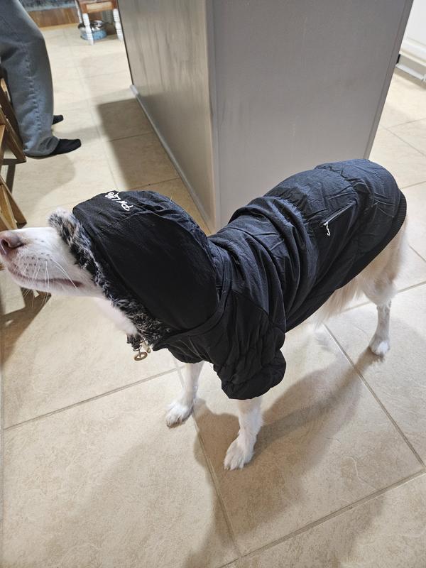 length, ✔️ hood. ✔️