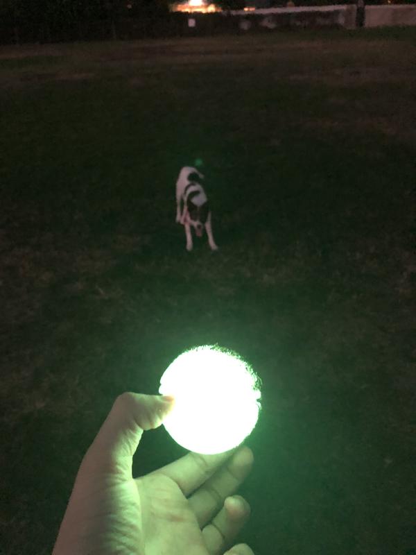 Nite Ize MeteorLight K-9 LED Ball